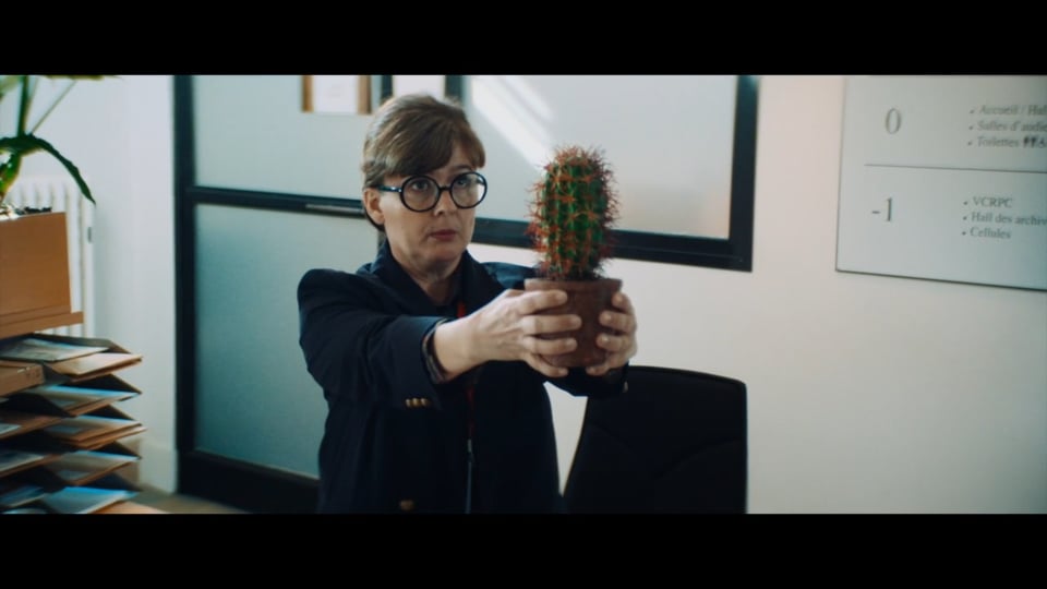 Voir la vid&eacute;o